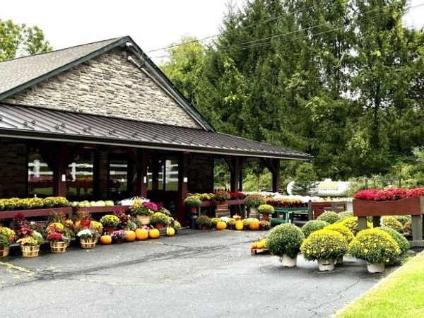 187 Us Highway 206, Sandyston, NJ 07851