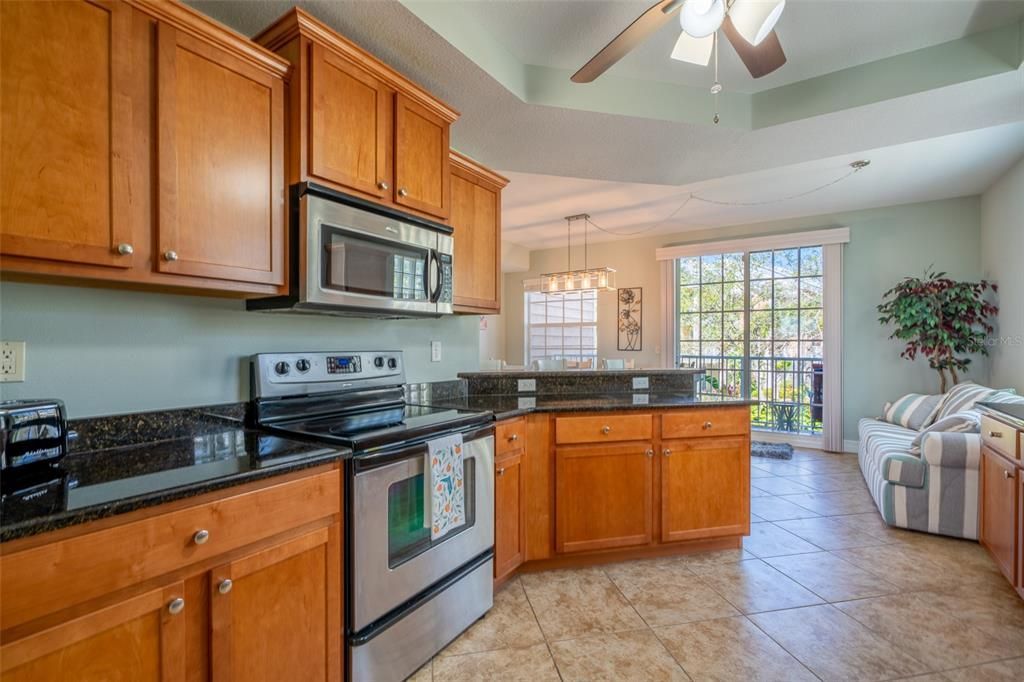 3230 Mangrove Point Drive, Ruskin, FL 33570 Photo
