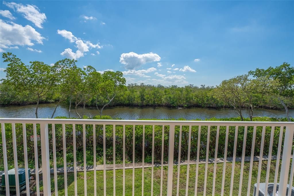 3230 Mangrove Point Drive, Ruskin, FL 33570 Photo