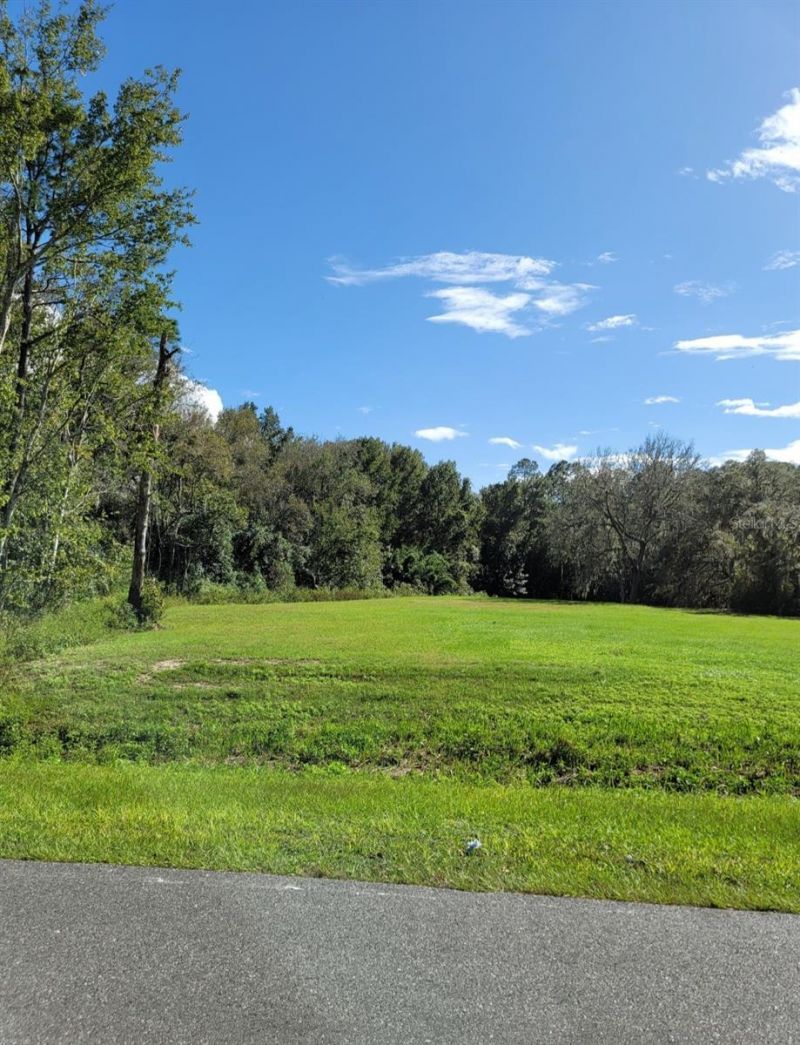 213 Clifton Road, Crescent City, FL 32112 Photo