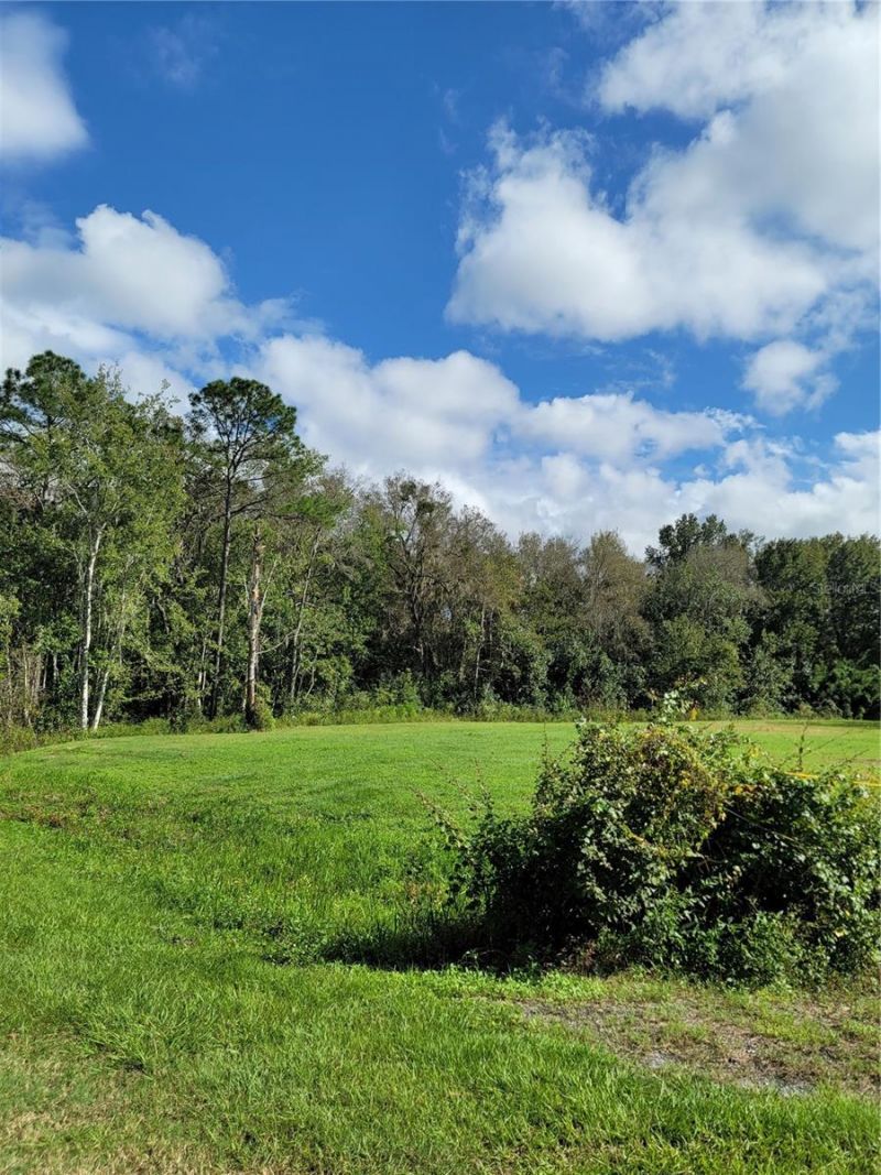 213 Clifton Road, Crescent City, FL 32112 Photo