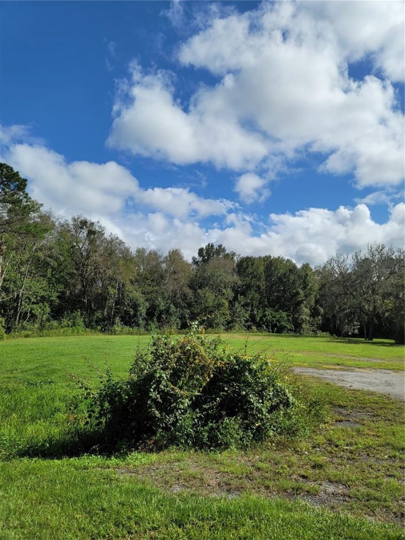 213 Clifton Road, Crescent City, FL 32112 Photo