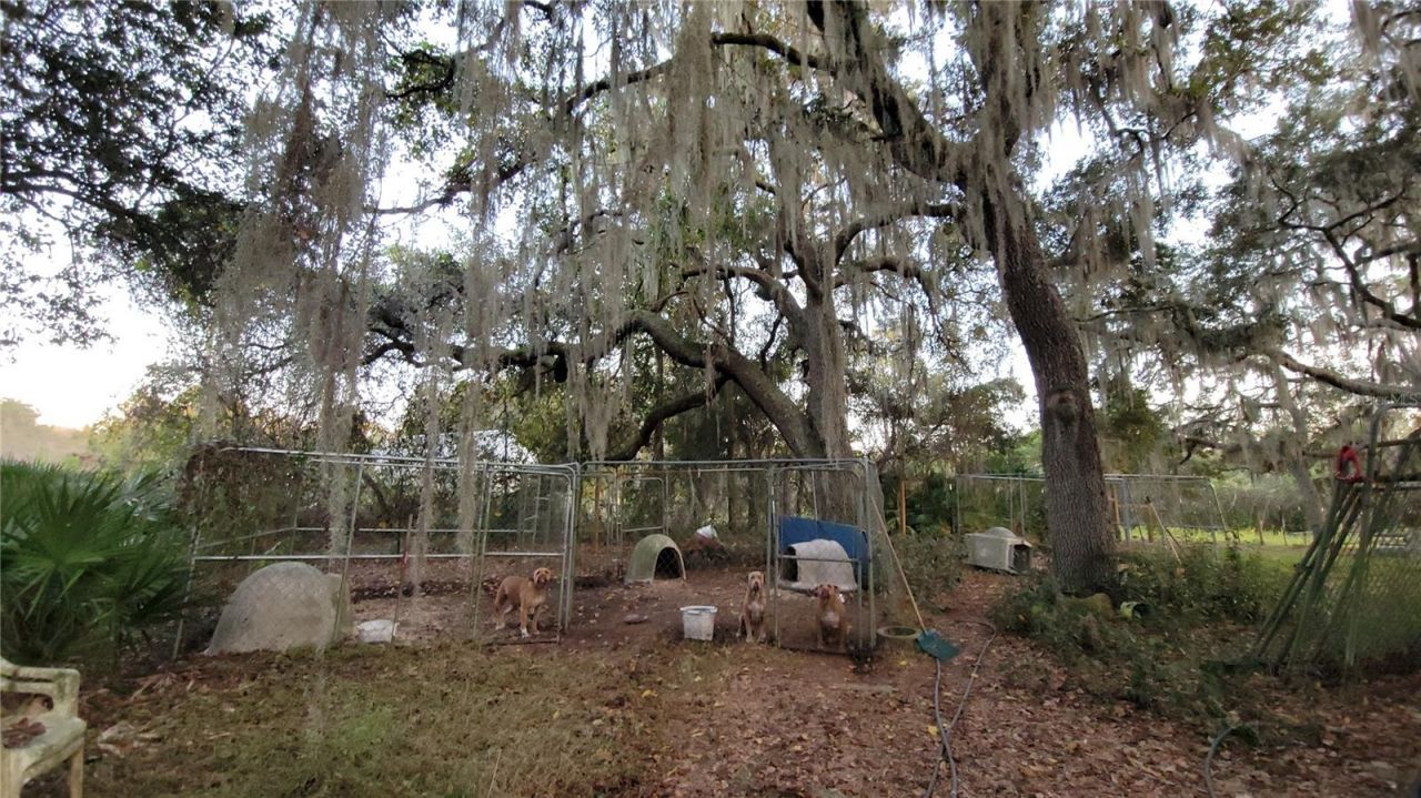 213 Clifton Road, Crescent City, FL 32112 Photo