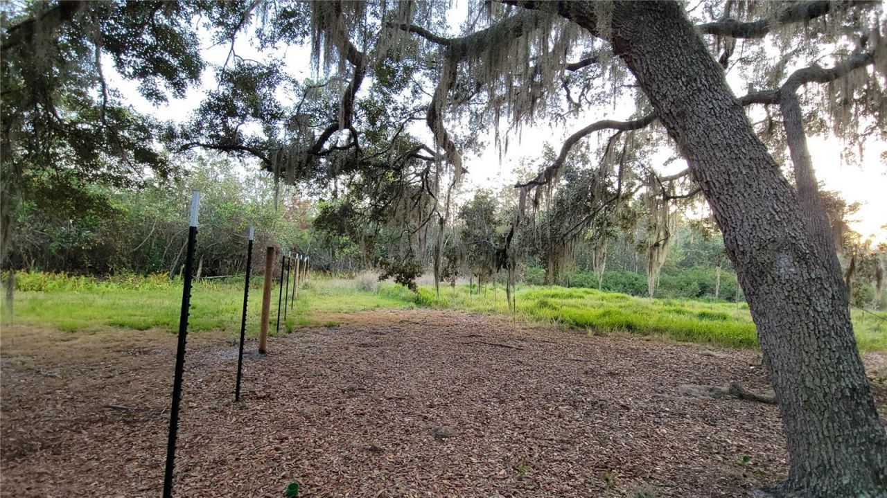 213 Clifton Road, Crescent City, FL 32112 Photo