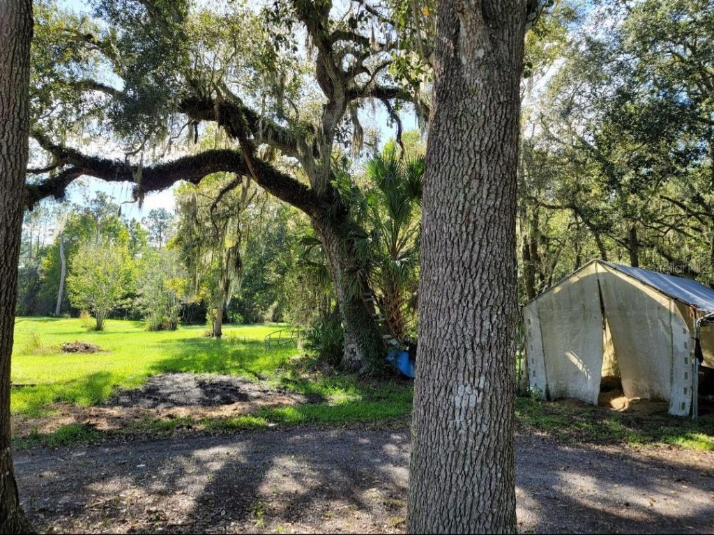 213 Clifton Road, Crescent City, FL 32112 Photo