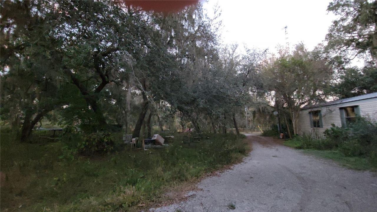 213 Clifton Road, Crescent City, FL 32112 Photo