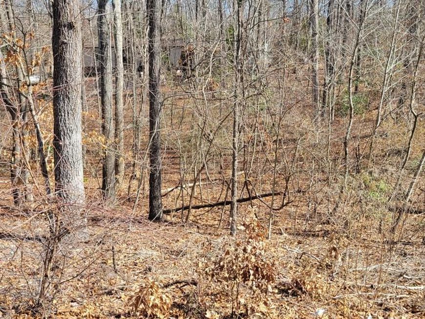 11436 Stirrup Lane, Lusby, MD 20657 Main Photo