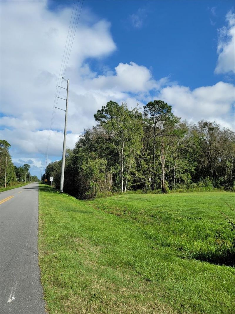 213 Clifton Road, Crescent City, FL 32112 Photo