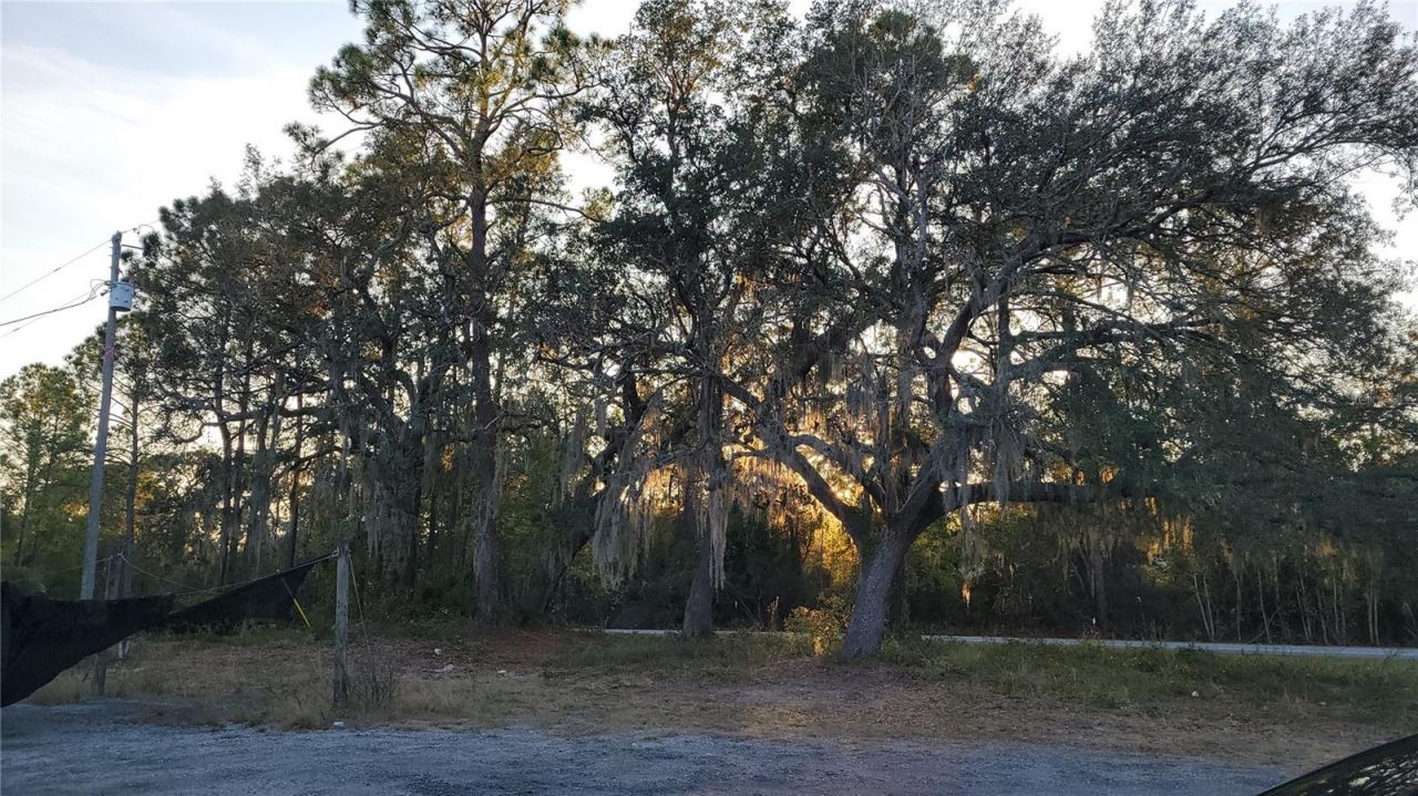 213 Clifton Road, Crescent City, FL 32112 Photo