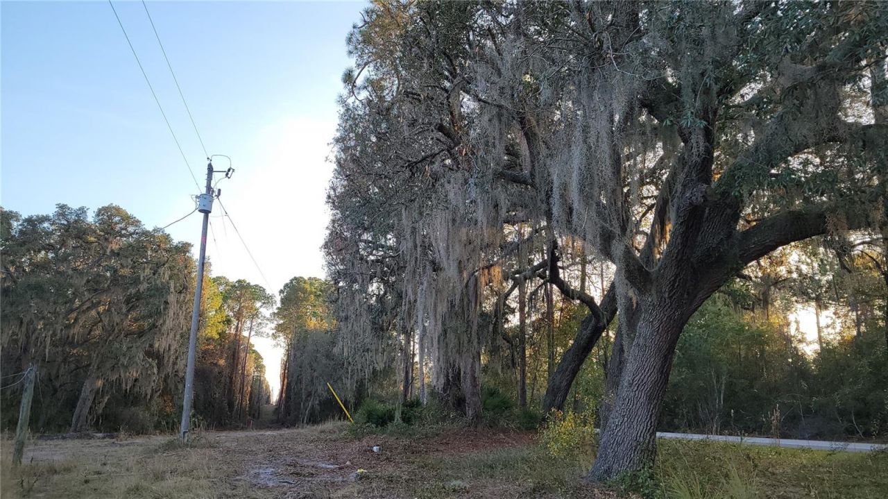 213 Clifton Road, Crescent City, FL 32112 Photo