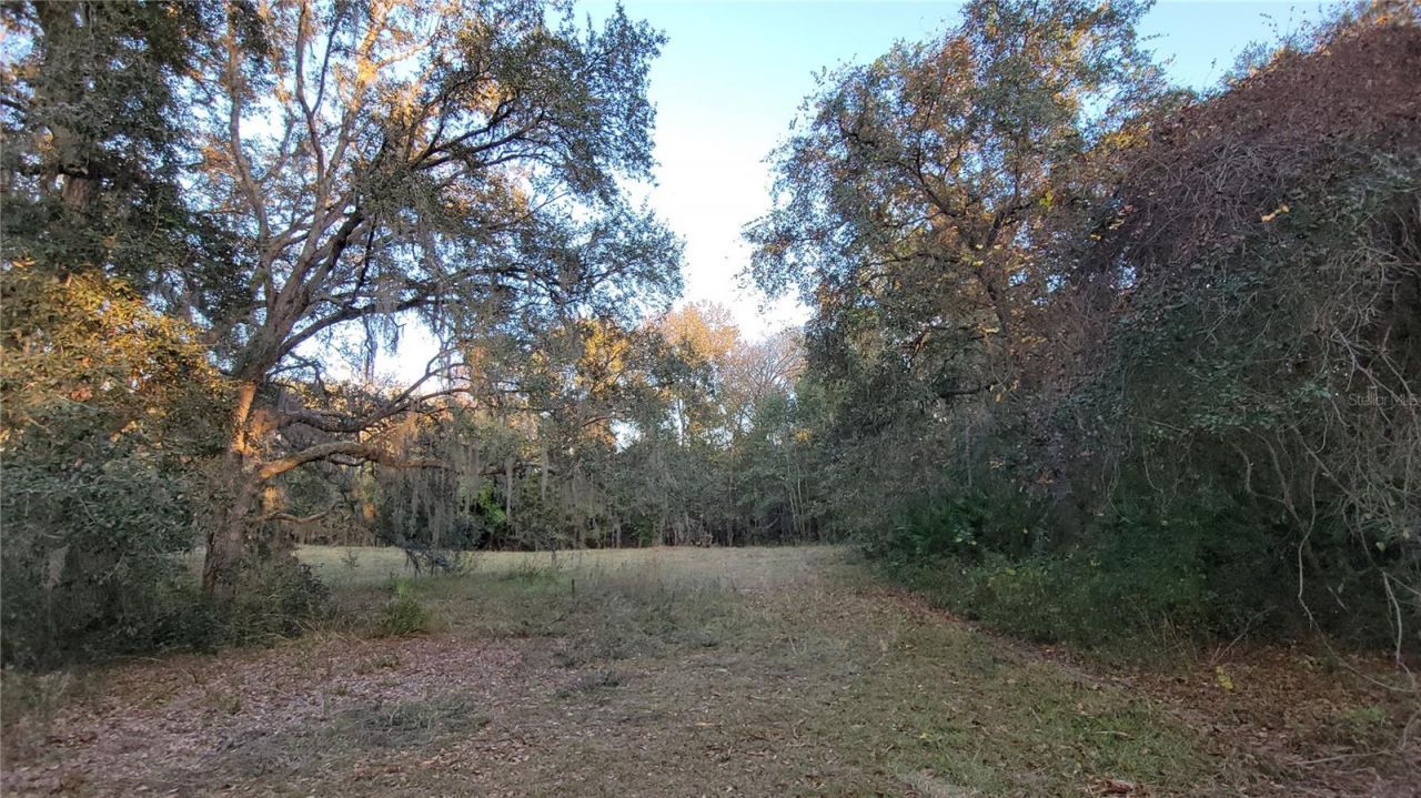 213 Clifton Road, Crescent City, FL 32112 Photo