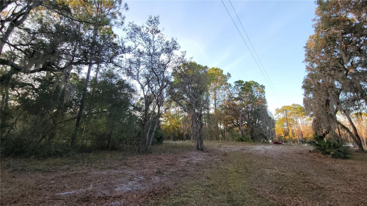 213 Clifton Road, Crescent City, FL 32112 Photo