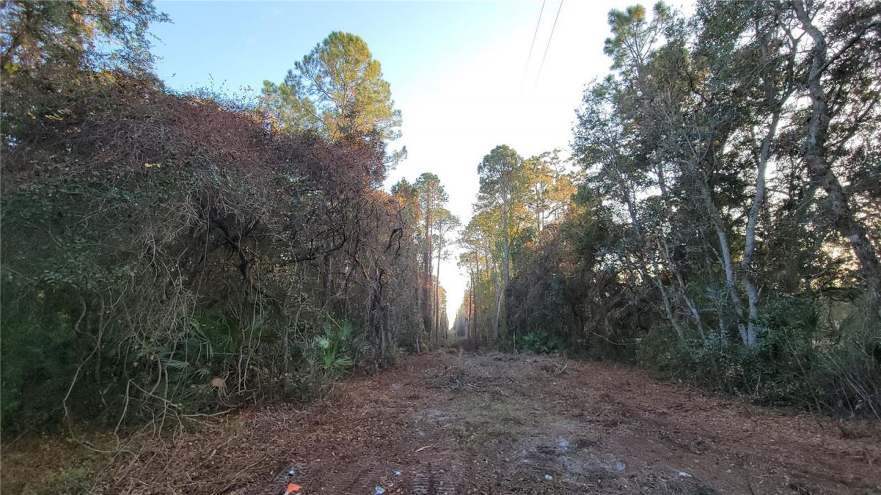 213 Clifton Road, Crescent City, FL 32112 Photo