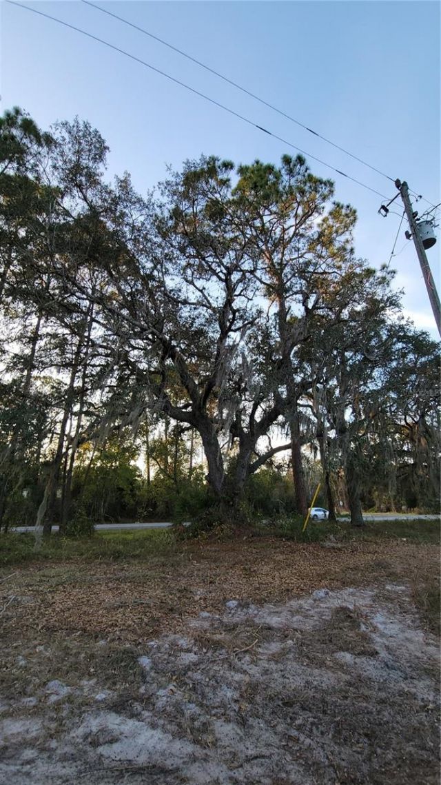 213 Clifton Road, Crescent City, FL 32112 Photo