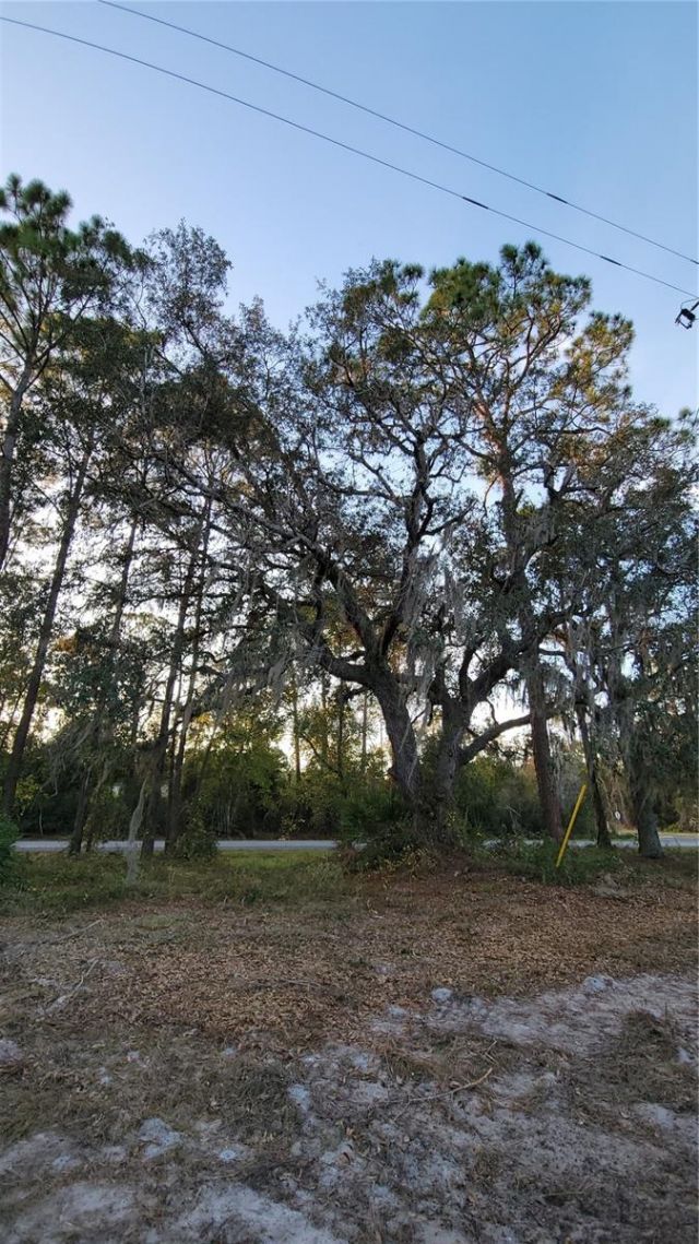 213 Clifton Road, Crescent City, FL 32112 Photo