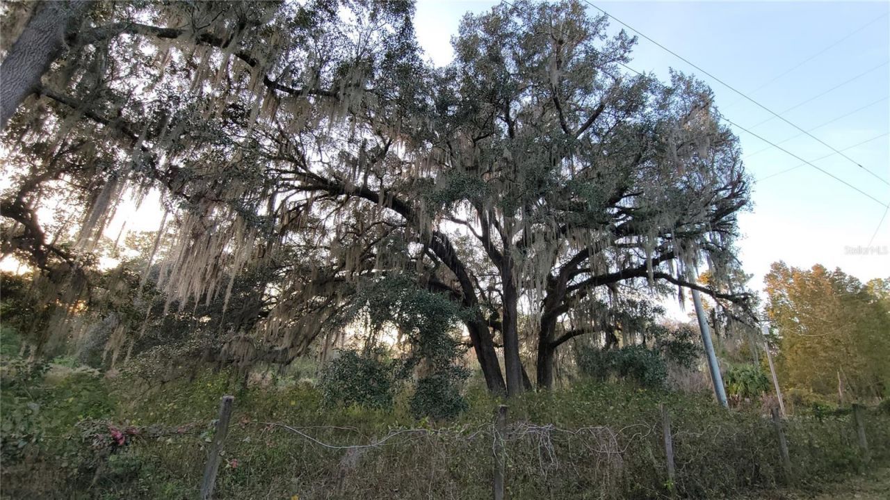 213 Clifton Road, Crescent City, FL 32112 Photo