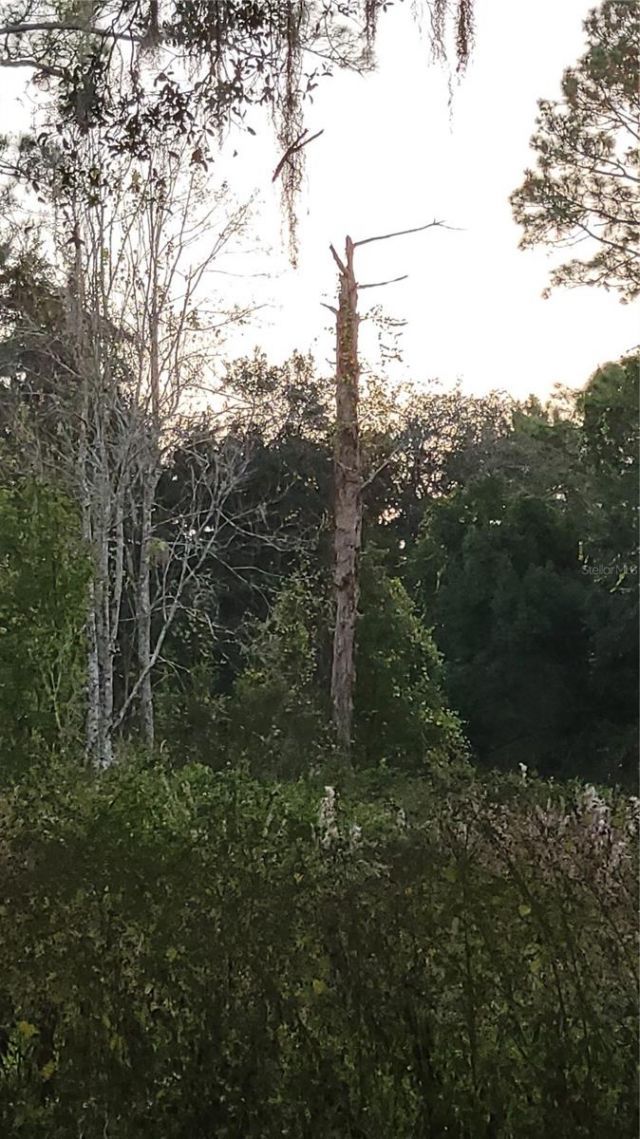 213 Clifton Road, Crescent City, FL 32112 Photo