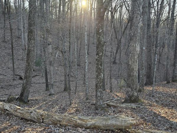 119 Pineridge Loop, Fairfield Glade, TN 38558