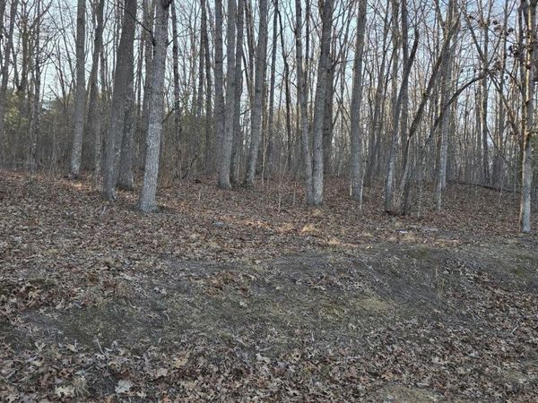 119 Pineridge Loop, Fairfield Glade, TN 38558