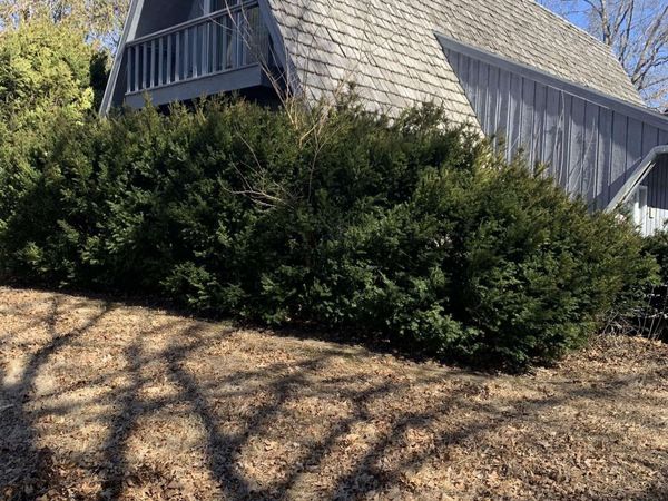 14 NE HILLCREST Drive, Bushnell, IL 61422