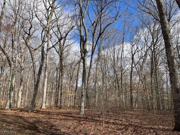 31 Sand Spring Ln, Harding, NJ 07976