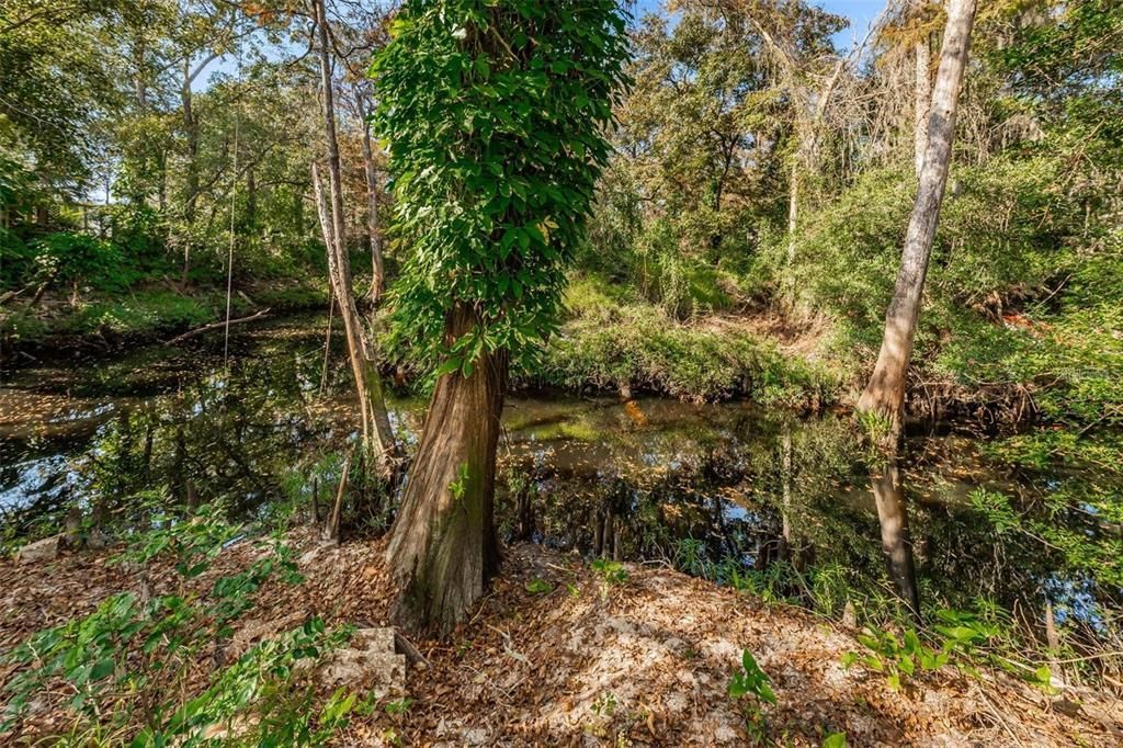 3837 Streamside Lane, New Port Richey, FL 34655 Photo