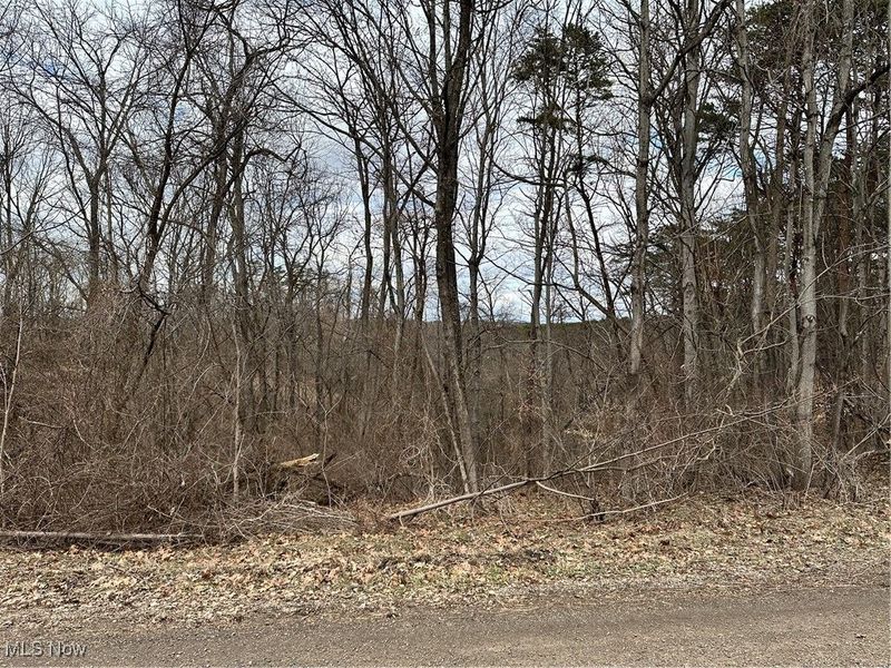 0 Fisher Ridge Road, Fleming, OH 45729 Photo 3