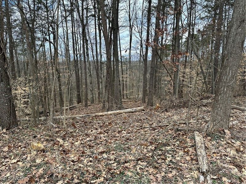 0 Fisher Ridge Road, Fleming, OH 45729 Photo 5