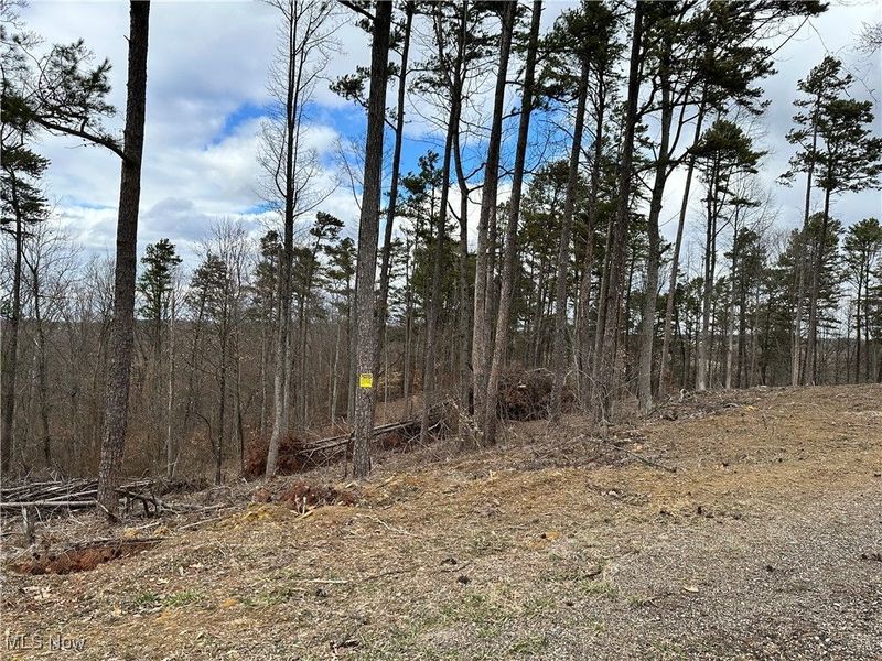 0 Fisher Ridge Rd, Tract 1, Fleming, OH 45729 Photo 1