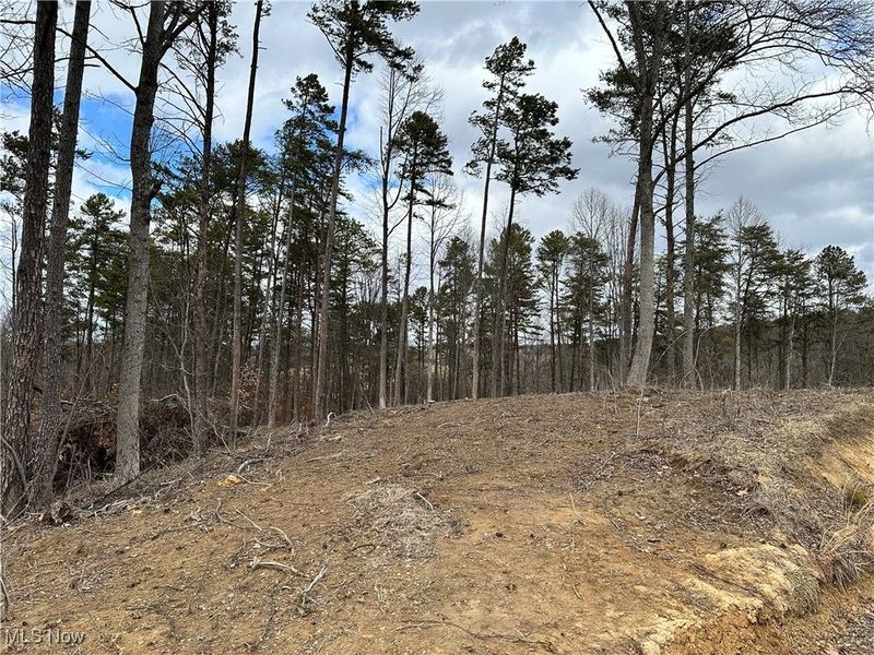 0 Fisher Ridge Rd, Tract 1, Fleming, OH 45729 Photo 2