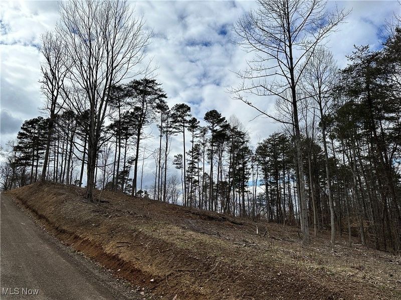 0 Fisher Ridge Rd, Tract 1, Fleming, OH 45729 Photo 3