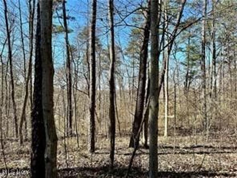 0 Fisher Ridge Rd, Tract 1, Fleming, OH 45729 Photo 4