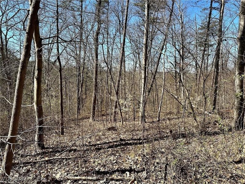 0 Fisher Ridge Rd, Tract 1, Fleming, OH 45729 Photo 5