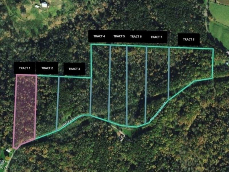 0 Fisher Ridge Rd, Tract 1, Fleming, OH 45729 Photo 6