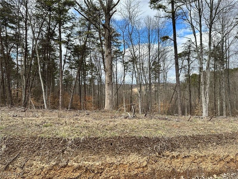 0 Fisher Ridge Rd, Tract 2, Fleming, OH 45729 Photo 2