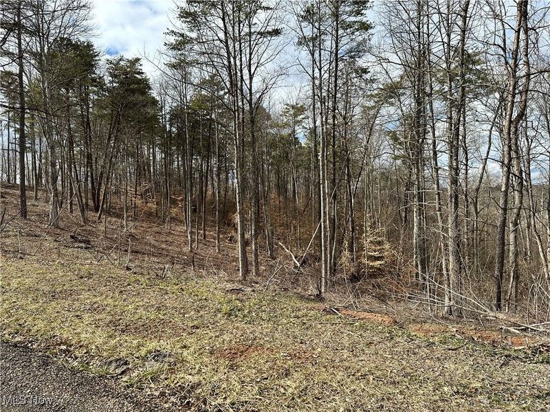 0 Fisher Ridge Rd, Tract 2, Fleming, OH 45729 Photo 3