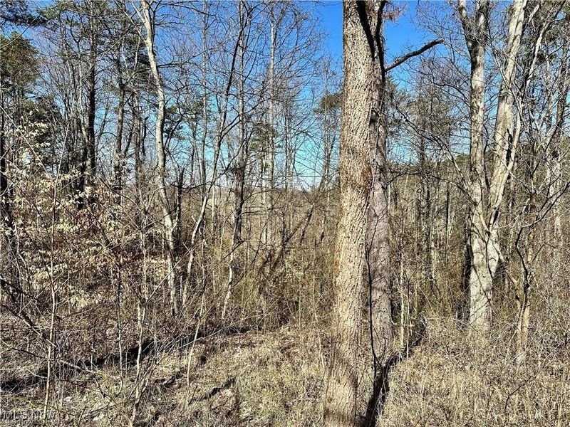 0 Fisher Ridge Rd, Tract 2, Fleming, OH 45729 Photo 4