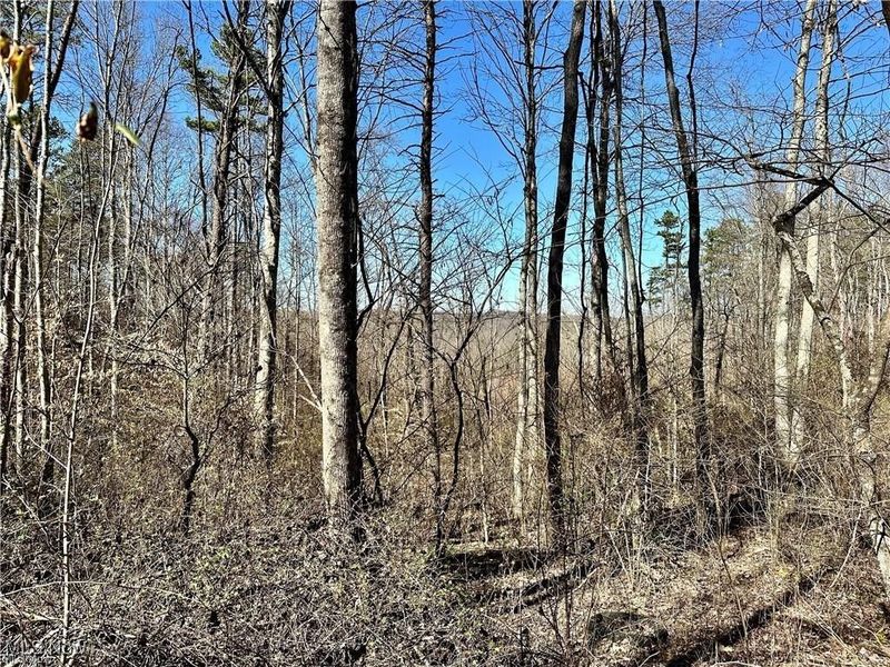 0 Fisher Ridge Rd, Tract 2, Fleming, OH 45729 Photo 5