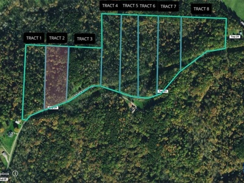 0 Fisher Ridge Rd, Tract 2, Fleming, OH 45729 Photo 6