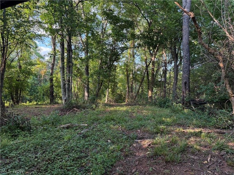 0 Fisher Ridge Rd, Tract 5, Fleming, OH 45729 Photo 2
