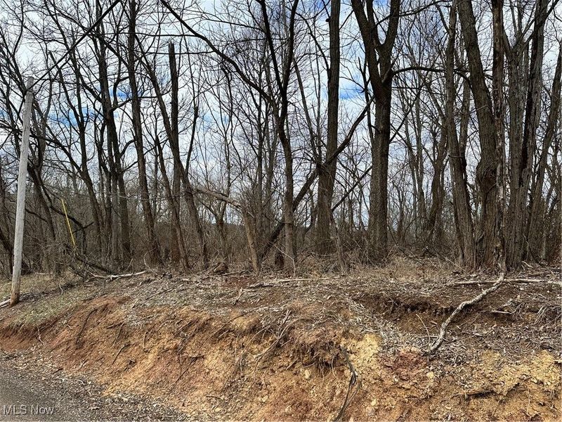 0 Fisher Ridge Rd, Tract 5, Fleming, OH 45729 Photo 2