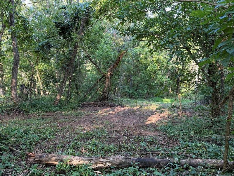 0 Fisher Ridge Rd, Tract 5, Fleming, OH 45729 Photo 3