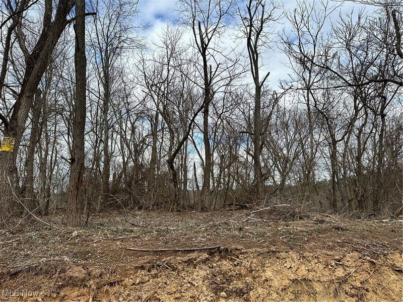 0 Fisher Ridge Rd, Tract 5, Fleming, OH 45729 Photo 3