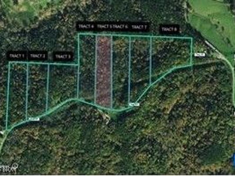 0 Fisher Ridge Rd, Tract 5, Fleming, OH 45729 Photo 4