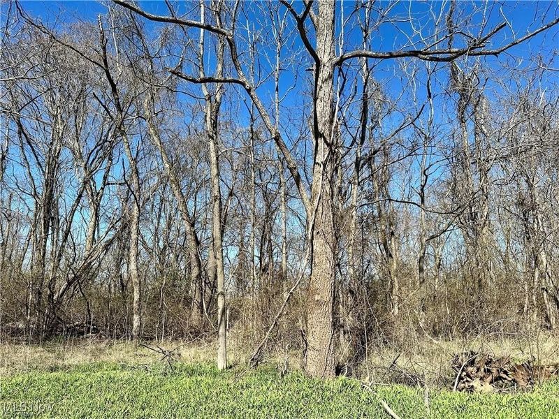 0 Fisher Ridge Rd, Tract 5, Fleming, OH 45729 Photo 4