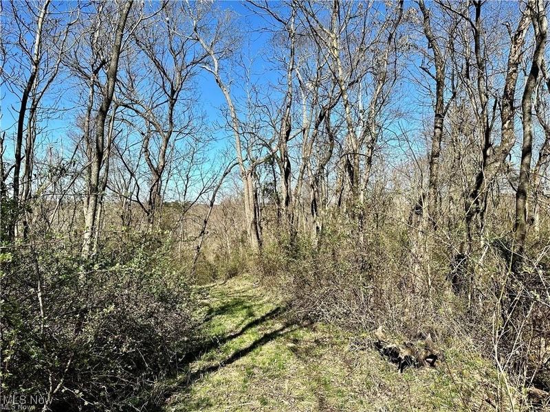 0 Fisher Ridge Rd, Tract 5, Fleming, OH 45729 Photo 5