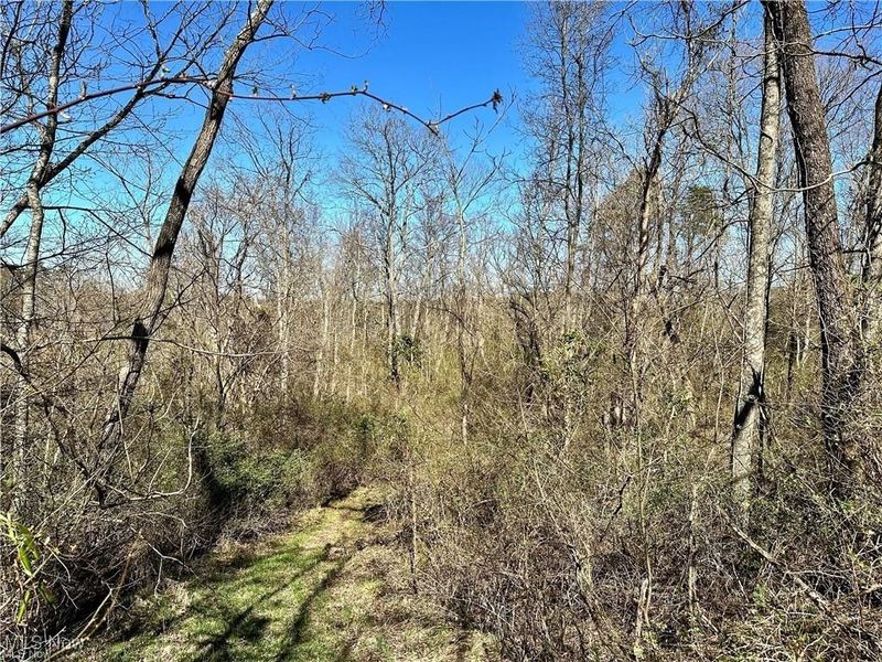 0 Fisher Ridge Rd, Tract 5, Fleming, OH 45729 Photo 6