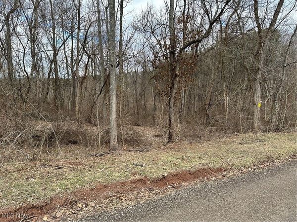 0 Fisher Ridge Rd, Tract 6, Fleming, OH 45729