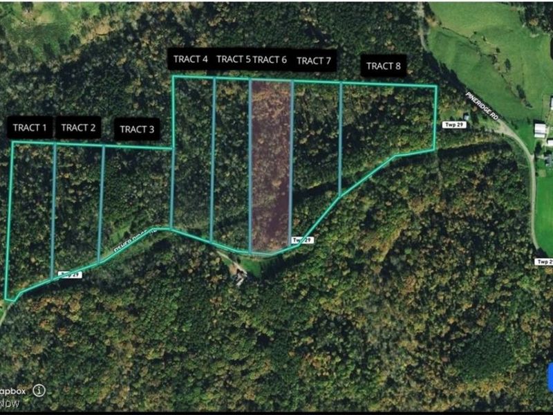 0 Fisher Ridge Rd, Tract 6, Fleming, OH 45729 Photo 6