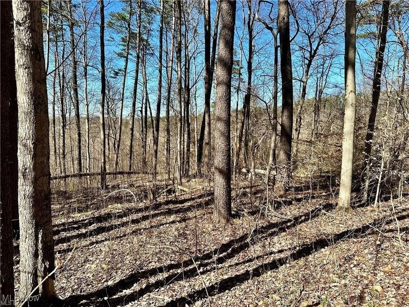 0 Fisher Ridge Rd, Tract 7, Fleming, OH 45729 Photo 2